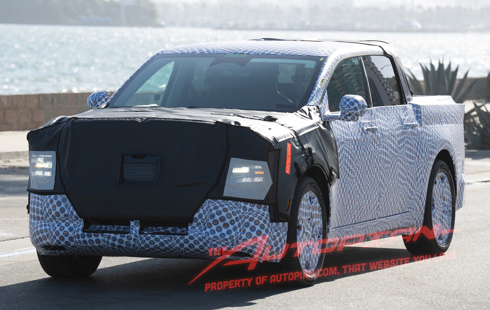 Tiny Ford EV - Image 2